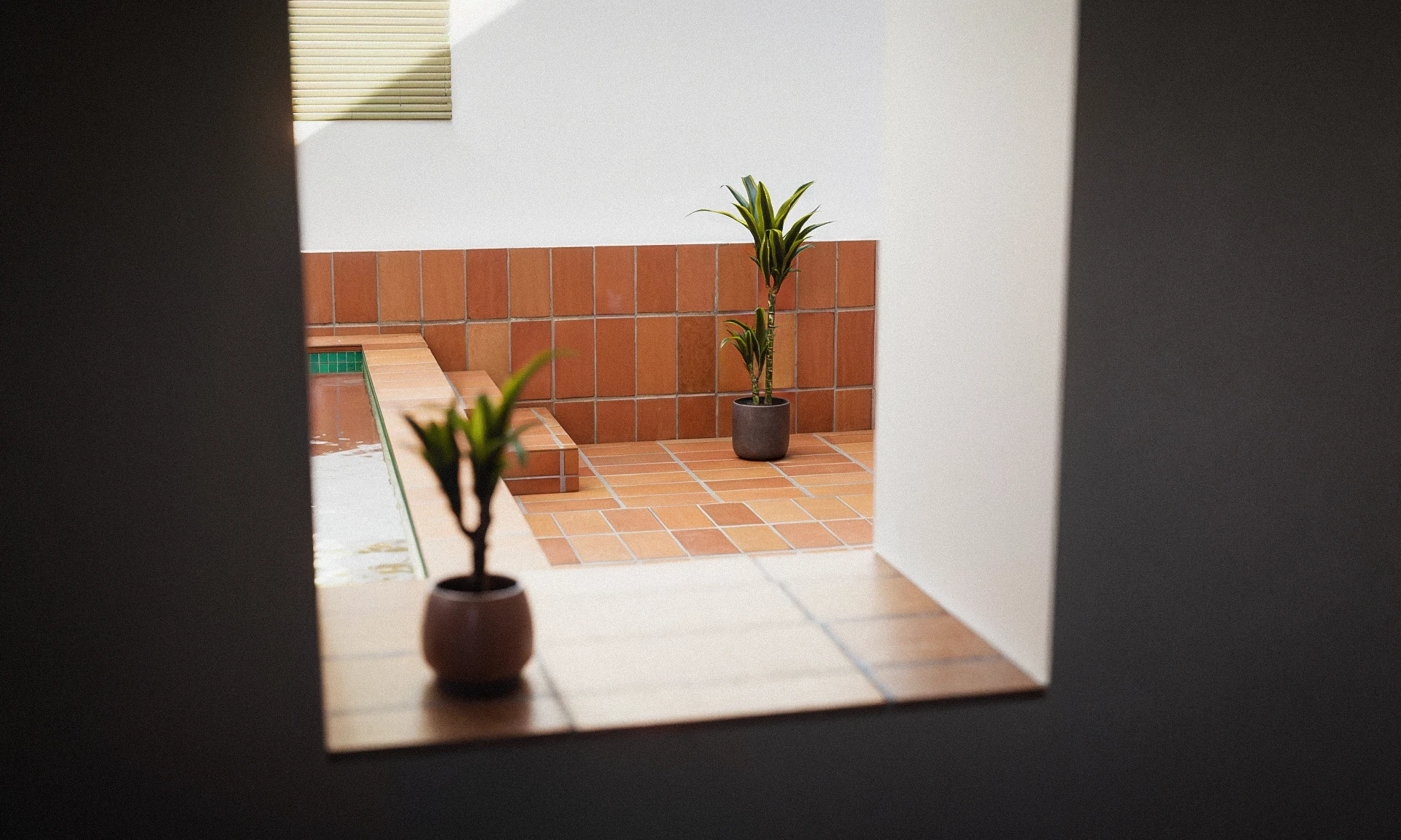 Render 3D. Patio interior con plantas.