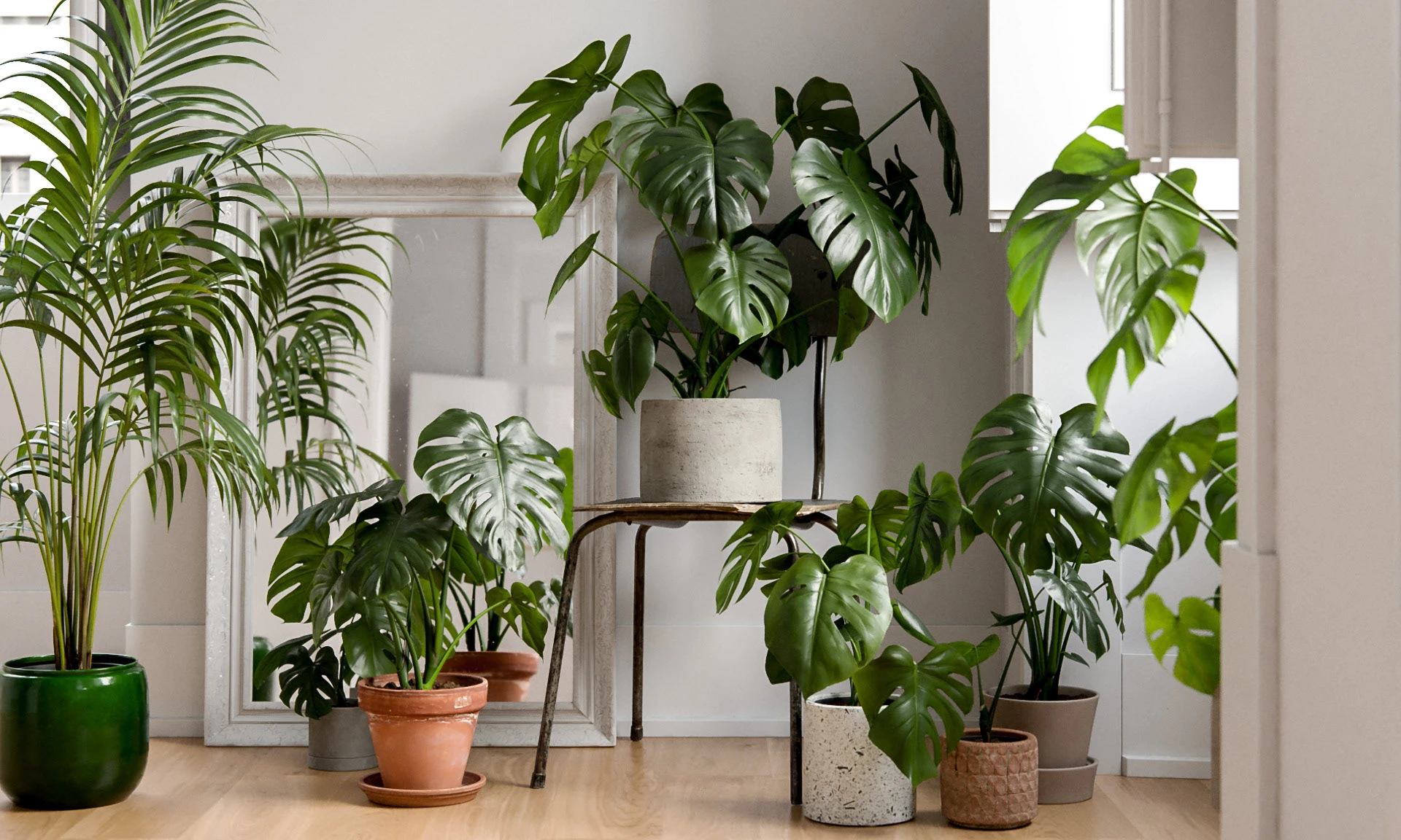 3D render. Varias plantas de interior en un salón.