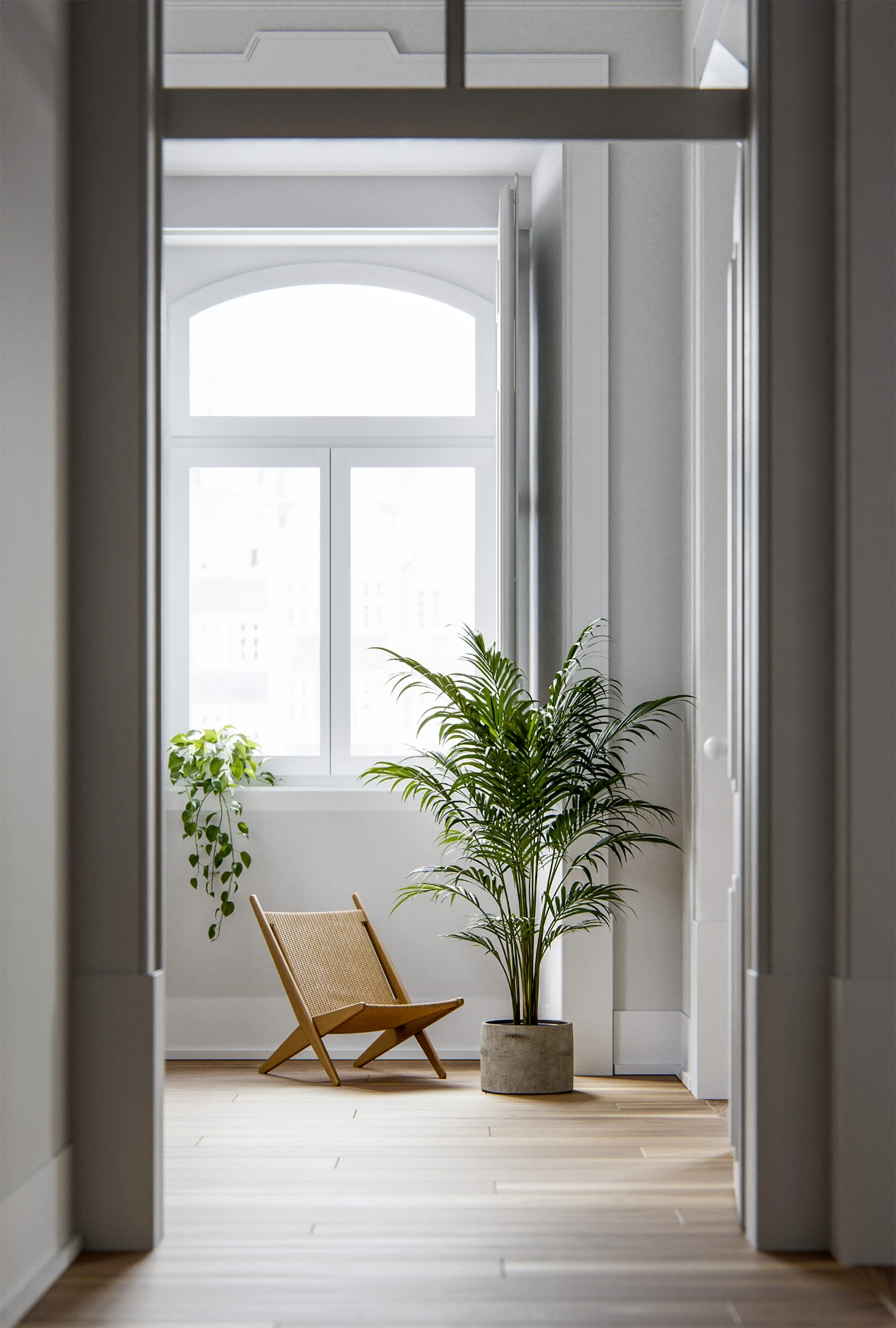 3D render. Varias plantas de interior en un salón.